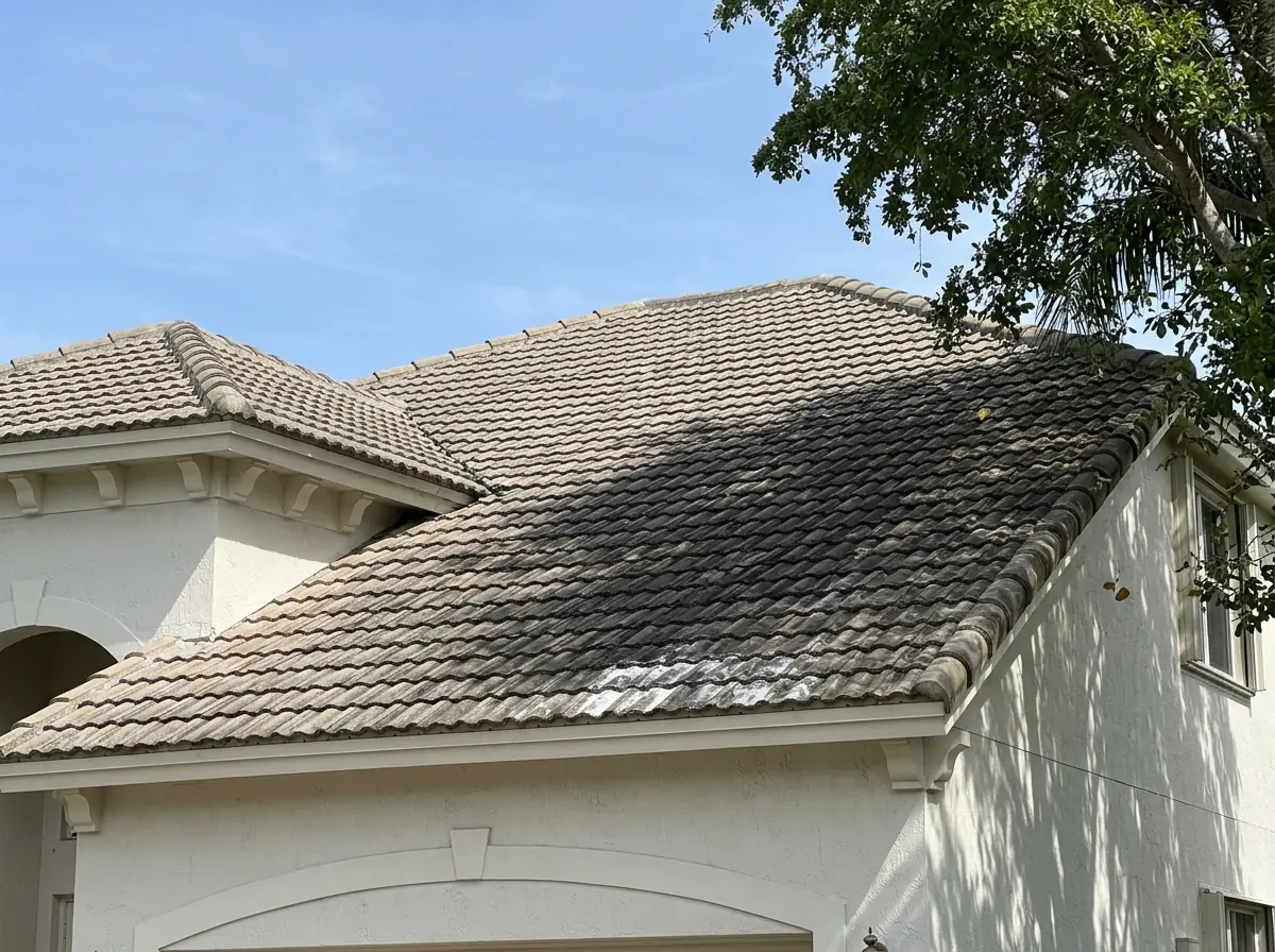 Concrete tile roof with dark black streaks running down from the ridge and lighter clean patches near the eave