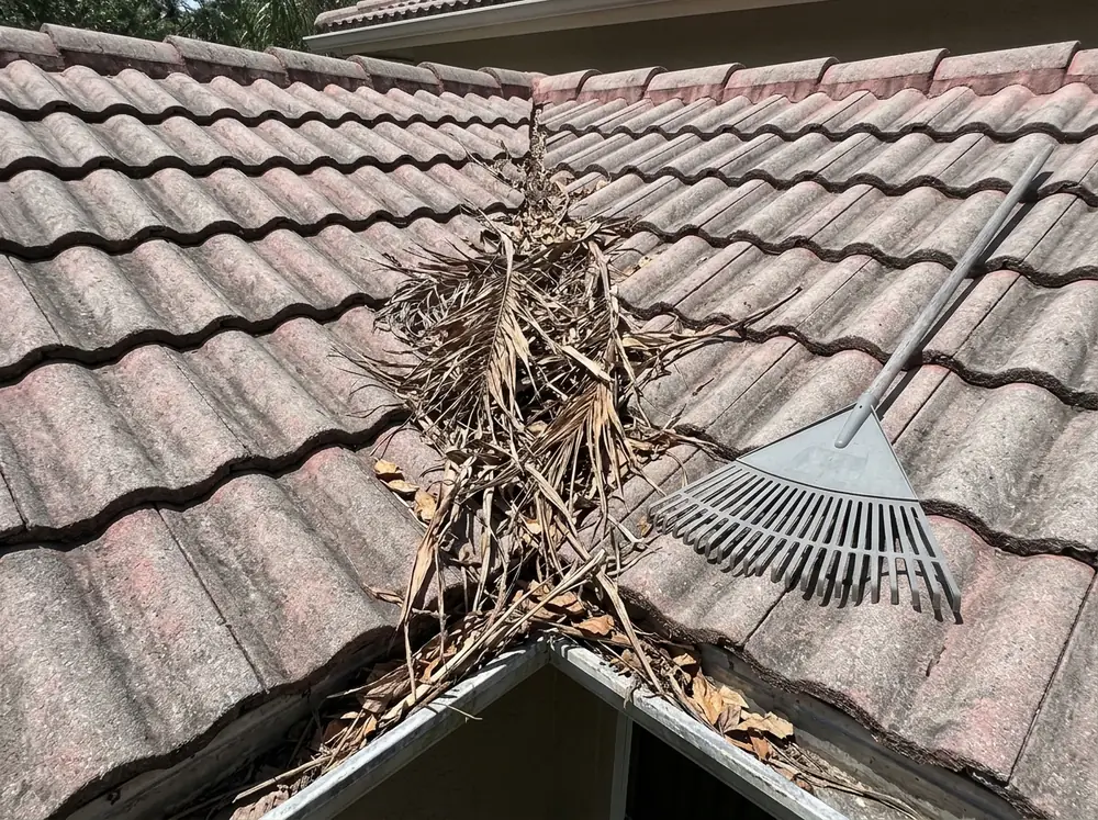 Valley of a concrete tile roof clogged with dry palm fronds and leaves where two slopes meet above a gutter